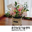 용인농업기술센터 생활원예 2기 꽃바구니 후기 | 감성 수업으로 만나는 도시농업