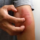 연제구-032 이미지