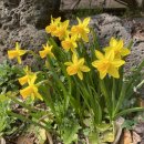 향연민박 이미지