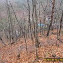 금진3리 이미지