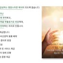 (주)에이플러스라이프 네이버블로그