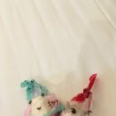 호텔 밀리오레 이미지