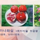 화실물성