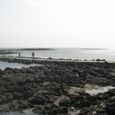 해수욕장길 이미지