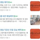 개냥이아울렛 | &#39;무릉냥원&#39; 청결최고 수원 고양이 카페 개냥이 천국