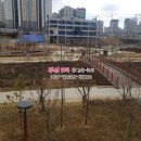 부영114공인중개사사무소 이미지