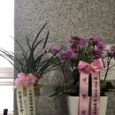 민락검도관 이미지