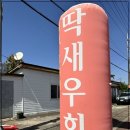 여기고씨네