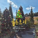 리버트리 | 가평대형카페 골든트리 북한강 리버뷰 베이커리카페 애견동반후기