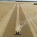 해관농장 이미지