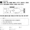 ADP -＞ ATP 가 동화작용입니까? 이미지