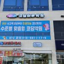 코딩하루 내포충남도청센터 이미지