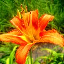 우리친구 이미지