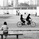 아름다운 동행 이미지