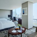 소노캄 고양 이미지