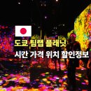 주식회사 스카이정보통신 | 도쿄 팀랩 플래닛 예약 전 확인할 것 3가지 (시간 가격 위치 정리)