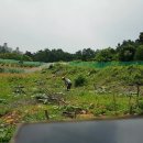 호박농장 이미지