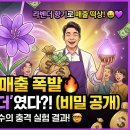 실험과학 (저) 이미지