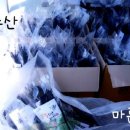 365수산 - 완도군 해변공원로 107 | 365수산