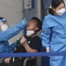 도봉-도봉-서울도봉-2486 이미지