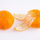 필라테스 귤 이미지