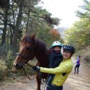 준서테크 | 2015-11-01 준서와 수리산 나들이 - 임도오거리 -