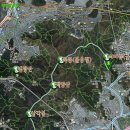 유*삼