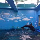 고래생태체험관 화장실 이미지