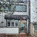 댕댕이묭실 이미지