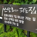 산당화가 피는집 이미지