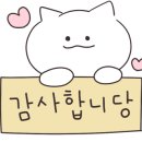 도리소반 이미지