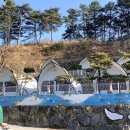 청솔민박 | 대구 근교 글램핑장 경북 고령 청솔글램핑 놀거리 많은 키즈글램핑 추천