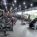 DY휘트니스 이미지