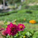 가온누리농장 이미지