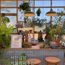 커피어스 - 포항시 북구 중흥로 161 | 서산카페 어스커피윈드브레드 식물 카페 내돈내산 후기🌿☕️
