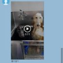 아이리쉬PC 이미지