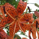 영주수도리김뢰진가옥 이미지