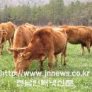 정남진장흥한우 이미지