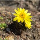 쉬자파크 이미지