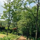 유니스의정원 보타닉하우스 이미지