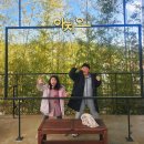 충북대학교사범대학부설중학교 이미지