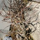 홍장농장 이미지