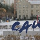 중앙대학교 이미지