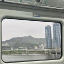 밀키스테이 | 강릉 혼자 다녀왔습니다!