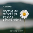 바로콜상조