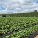 순박2농장 이미지