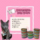 국물 많은 고양이 습식 펫프린세스캔 기호성 좋아요