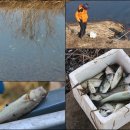 중선포천 이미지