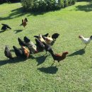 통나무밸리 이미지