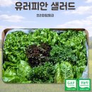 샐러드 채소 추천 | 당일배송 가능한 쌈채소 야채샐러드 유러피안샐러드 샐러드 달달푸드 후기